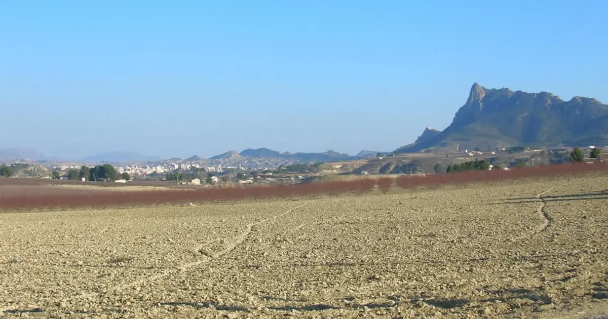 Vista de Cieza