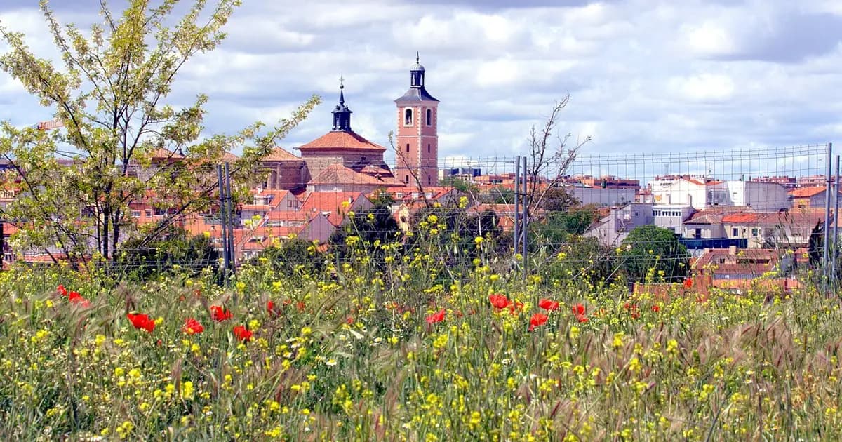 Vista de Valdemoro