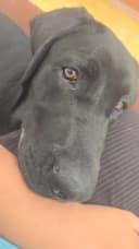 Asunción Aparicio Suárez